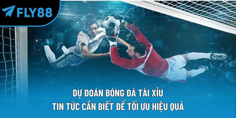 dự đoán bóng đá tài xỉu